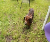 LindseyGradParty 007